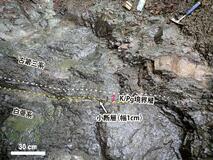 小惑星衝突示す地層を発見