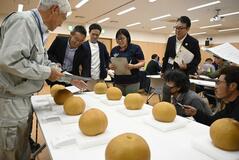にっこり大玉競う