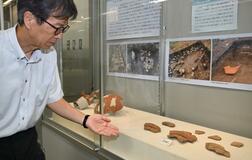 県内発掘調査の成果展示