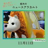 11月11日栃木県内のニュース　「渋谷駅に『餃子犬』参上」など3本をお届けします