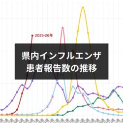 栃木県内インフルエンザ患者数　前週の1.5倍、警報レベル続く　報告数推移を過去と比較《11月27日更新》