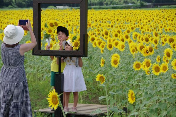 見頃を迎えたヒマワリの前で写真を撮る子どもたち