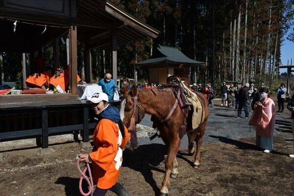 農耕馬や馬車馬を連れて参拝したかつての様子を再現し馬が本殿・拝殿を周回した