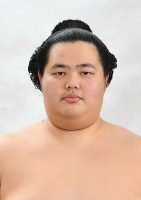 　琴桜