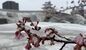 雪化粧した宇都宮城址公園＝８日