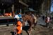 農耕馬や馬車馬を連れて参拝したかつての様子を再現し馬が本殿・拝殿を周回した