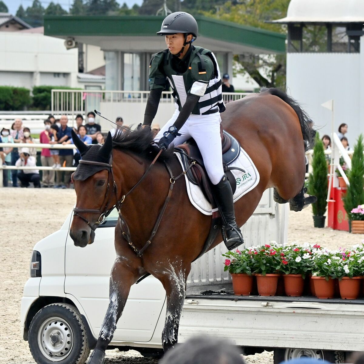 宇都宮でJRA「馬に親しむ日」 跳躍や「ダンスステップ」 人馬一体の