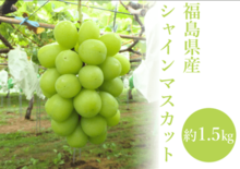 福島県産シャインマスカットを100箱限定販売！上品な香りの旬の味をＪＡ…
