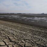 渡良瀬遊水地・谷中湖の底があらわに　水質保全へ、水を抜く恒例の「干し上…