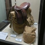 【とちぎ戦後80年】戦争と栃木を知る　③軍用保護馬　農耕馬を鍛錬し戦地…