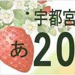 栃木県と那須の「図柄入りナンバー」デザイン決まる　10月23日交付開始