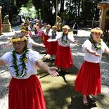 大田原神社にフラダンス奉納　幼児から80代の教室生徒50人が優雅に披露
