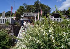寺岡山元三大師で萩まつり　足利