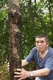 漆掻き一筋６５年に栄誉