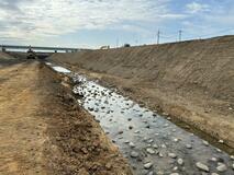 多自然川づくり実施