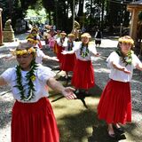 大田原神社にフラダンス奉納　幼児から80代の教室生徒50人が優雅に披露