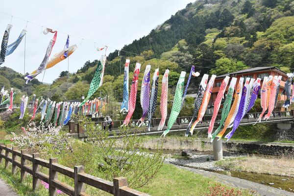 那珂川の上でそよぐこいのぼり