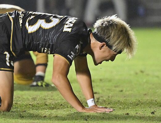 後半36分、栃木シティのＭＦ大嶌が勝ち越しゴールを決めて吠える