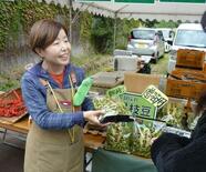 第二の人生は“旅先で仕事”、目立つ50代以上「新しい自分試したい」