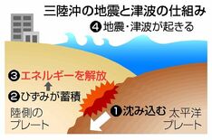 プレート境界 ひずみ蓄積