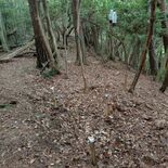 クマ目撃から1年、調査遅くないか? 住民ら不安「被害出る前に対応を」 …