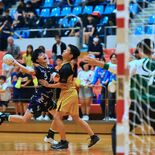 栃木県中学総体、ハンドボールなど７競技で継続実施へ　2027年度から全…