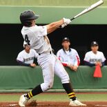 DH制導入の春季栃木県高校野球　６割30チームが活用、最多は５番　小規…