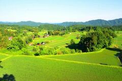 島根県奥出雲地域と和歌山県有田・下津地域が新たに世界農業遺産(GIAHS)に認定されました！