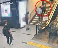 前日も職場周辺に姿