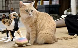 CATスポットへGO!!