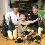 「見たことない虫だ！」実は準絶滅危惧種　園児発見、専門家も太鼓判　宇都宮の中村夏樹ちゃん