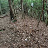 クマ目撃から1年、調査遅くないか? 住民ら不安「被害出る前に対応を」 京都府「不確かな情報多い」