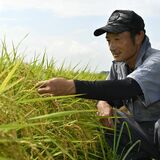 コメ農家「何とか余裕を持てる」　栃木県産米、過去最高の概算金に安堵　買い控えへの懸念も