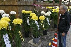 程島さん(晃陽会)総理大臣賞