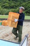 元気シニア、仕事も旅も