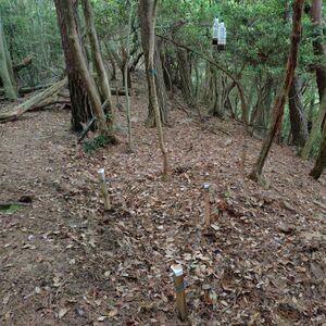 クマ目撃から１年、調査遅くないか？　住民ら不安「被害出る前に対応を」　京都府「不確かな情報多い」