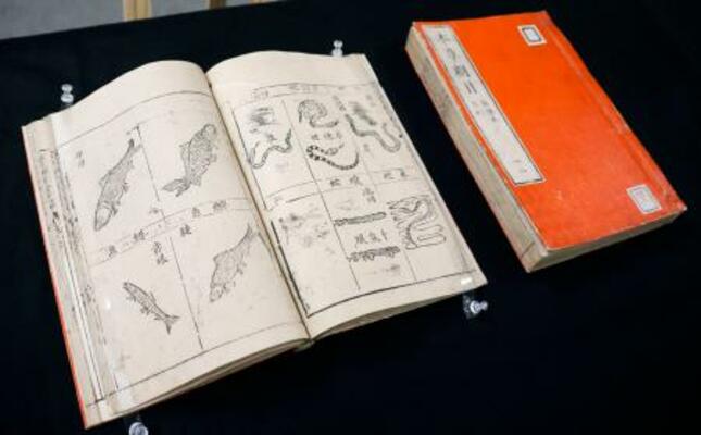 　京都府立植物園が所蔵している中国・明代の古文書「本草綱目」の一部＝８日、京都府庁