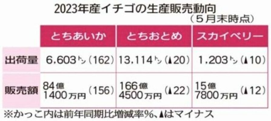 2023年産イチゴの生産販売動向
