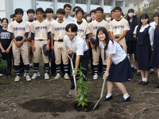 水上太白桜の２世苗木を植樹する在校生たち