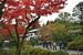 木々が紅葉した逍遥園を散策する出席者