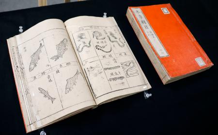 1億円鑑定の中国・古文書展示 京都府立植物園「本草綱目」｜全国の