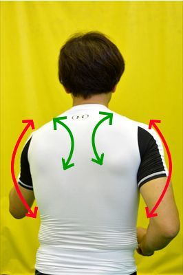 肩甲角を良く動かして