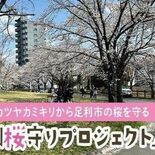 足利市、ふるさと納税型「クラファン」で財源確保　クビアカツヤカミキリ対…