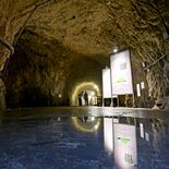 【とちぎ戦後80年　遺構は語る】東京動力機械製造地下工場跡（那須烏山）