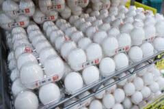 卵価格、秋以降値上がりへ