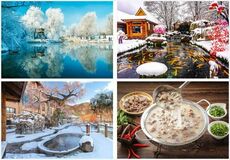 遼寧省本渓市で、多彩な氷と雪のカーニバルが冬の情熱に火をつける