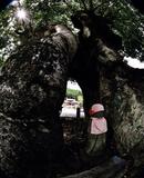 入選 「見守り地蔵」