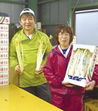 ＜184＞おいしいウドを消費者に届けたい　ＪＡなすののウド