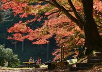 御殿山公園の紅葉　大田原