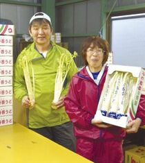 ＜184＞おいしいウドを消費者に届けたい　ＪＡなすののウド